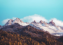 安卓iOS-农业农村部：对部分地方高标准农田建设中存在的问题，开展专项整治