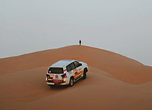 安卓iOS-农业农村部：对部分地方高标准农田建设中存在的问题，开展专项整治